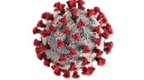 Coronavirus Qué Se Sabe De La Variante De Doble Mutación Encontrada