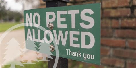 Are Hoa Pet Restrictions Allowed Cedar Management Group