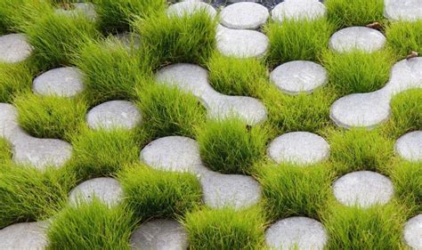 Grass Block Pavers Are An Environmentally Friendly Surface For