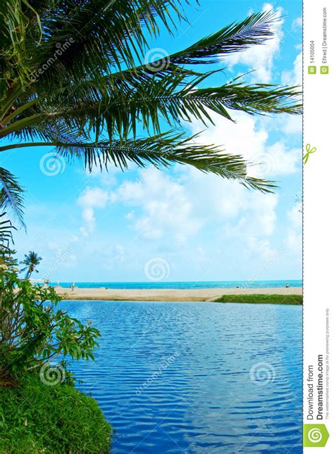 Tropical Seascape Stock Photo Image Of Season Outdoors 14105004
