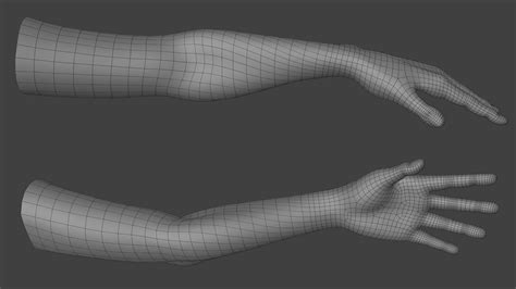 The Pronated Topology Of The Arm — Polycount