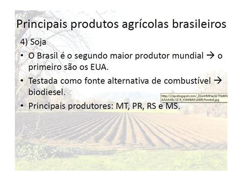 Em Relação Ao Espaço Agrícola Brasileiro Assinale A Alternativa Correta