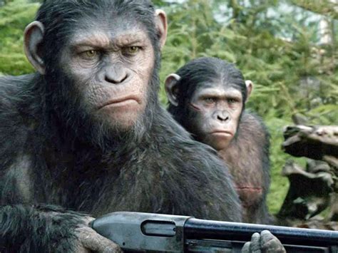 G O Planeta Dos Macacos Estreia Da Semana Nos Cinemas De Porto