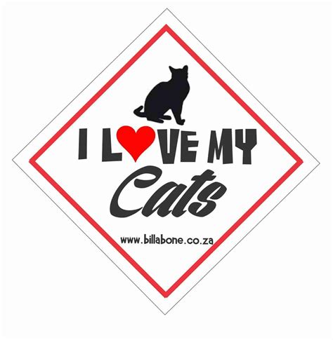I Love My Cats Car Sign Or Sticker