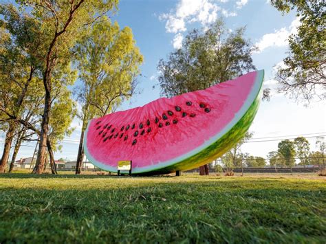 The Big Melon Southern Queensland Country