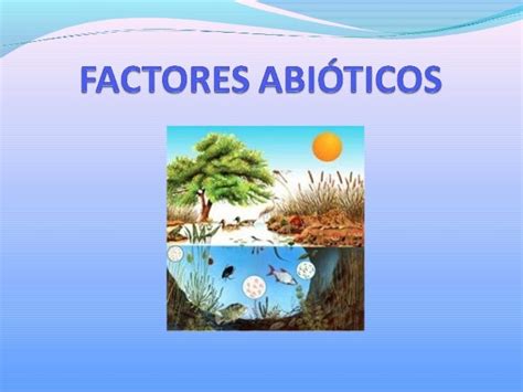 Factores Bioticos Y Abioticos Definicion Caracteristicas Y Ejemplos Images