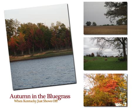 Pictures Of Kentucky In Autumn Genuine Kentucky