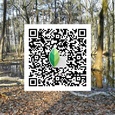 — easiest way to use the above presets is to read the qr codes right from within snapseed off your desktop or laptop monitor. Forest #snapseed #qr #snapseedqr #preset | Trik fotografi ...