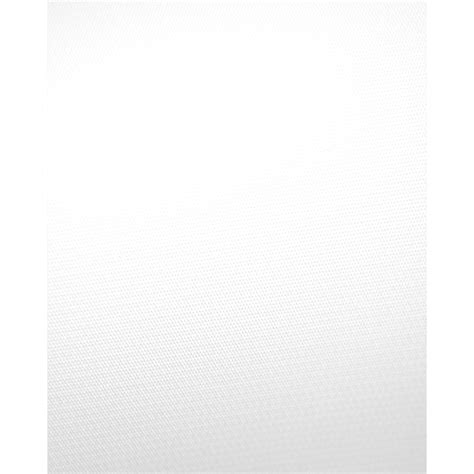 Pure White Vinyl Background Backdrop Express