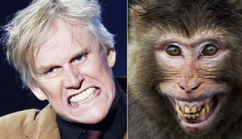 Celebrities And Their Animal Look A Likes Ny Daily News