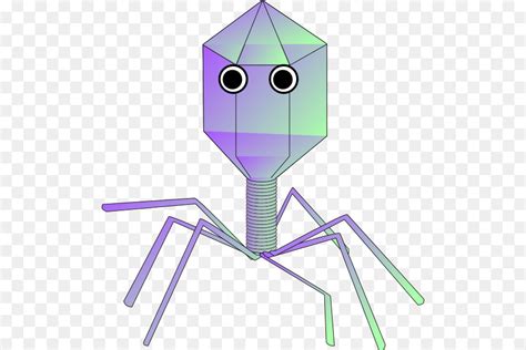 Over 200 angles available for each 3d object, rotate and download. Virus Disegno Png : Computer Virus Malware Trojan Horse ...