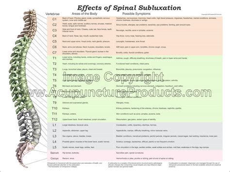 effects of spinal subluxation poster