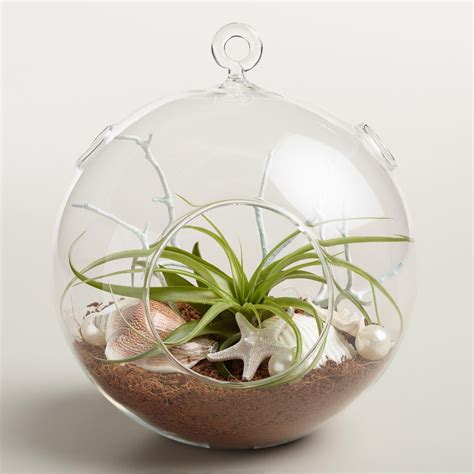 Terrariums Modern Hanging And Recycled Glass World Market Hanging Glass Terrarium Glass