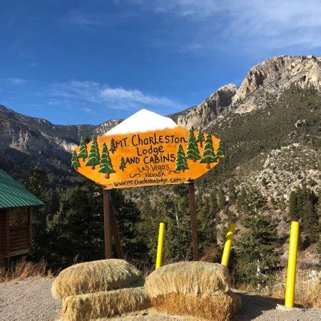 Accommodations for your vacation in mount charleston in mount charleston, hotel rooms are the most frequent accommodations being offered. Mt. Charleston Lodge - Prices & Reviews (Mount Charleston ...