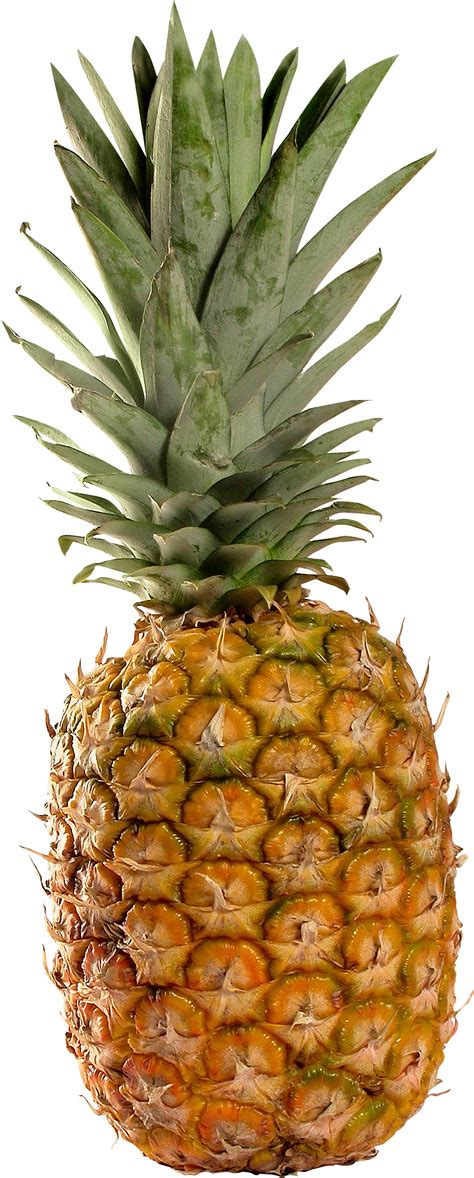 Pineapple Png Images Free Pictures Download