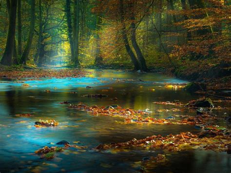 Autumn Landscape Forest Trees Mountain Stream River Fall Leaf And