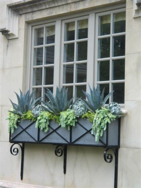 Succulent Window Box Home Sweet Home Pinterest