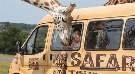 West Midland Safari And Leisure Park Discover Animals