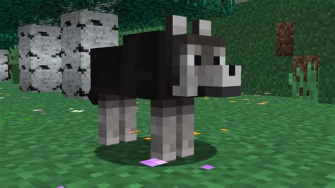 Minecraft Spring Resource Pack Wolves Got A Complete Revision They