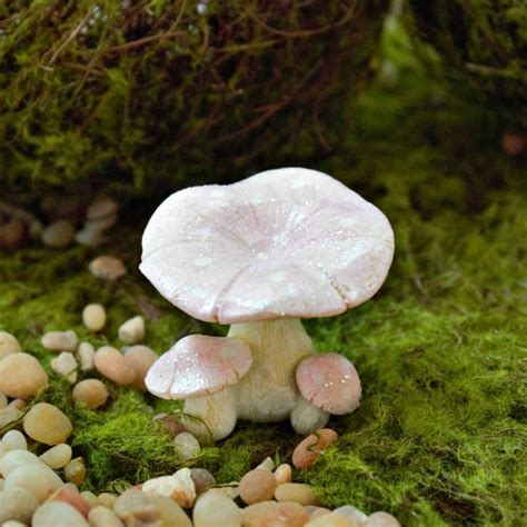 Fairy Garden Mushroomspink Mushroom3 Pink Mushrooms