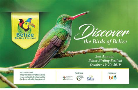 Belize Birding Festival San Ignacio Cayo District