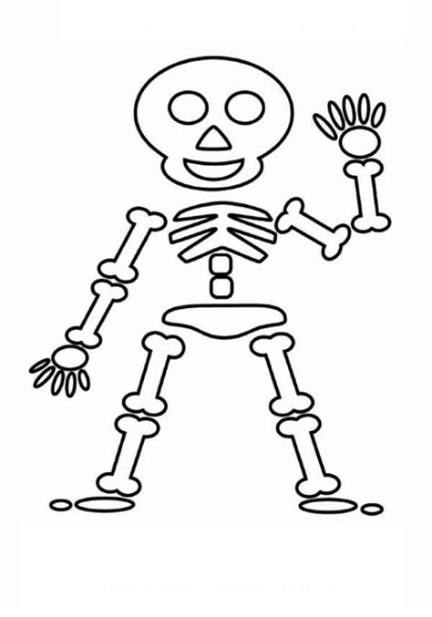 Simple Skeleton Drawing At Getdrawings Free Download