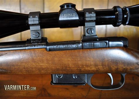 Review Of The Cz Model 527 In 17 Hornady Hornet Varminter Magazine