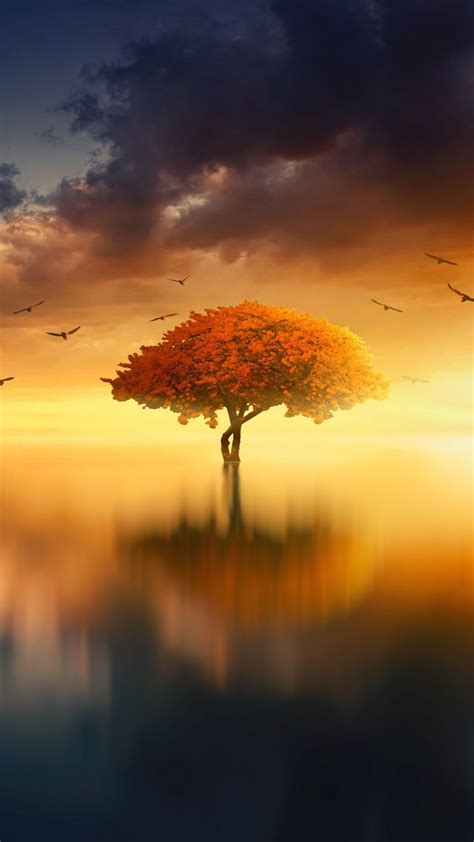 Sunset Birds Lake Tree Reflection Photoshop 1080x1920 Wallpaper