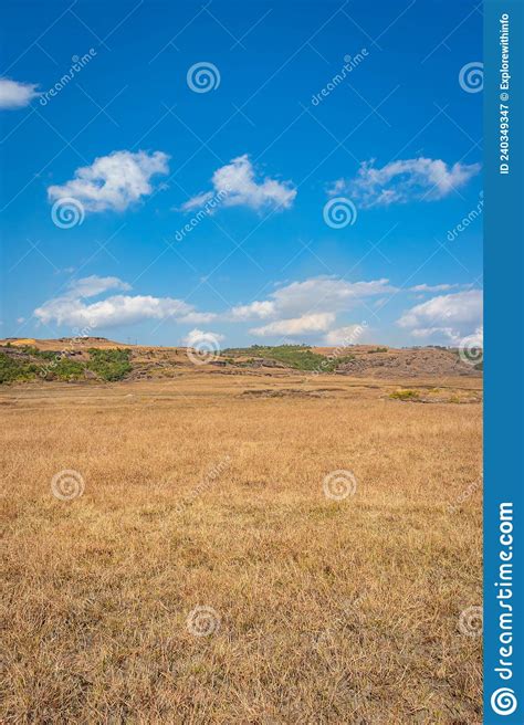 Yellow Grass Countryside Fields With Bright Blue Sky At Morning From