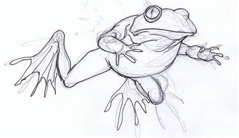 Frog Sketch Frog Pictures Animal Drawings Drawing Animals Frog And