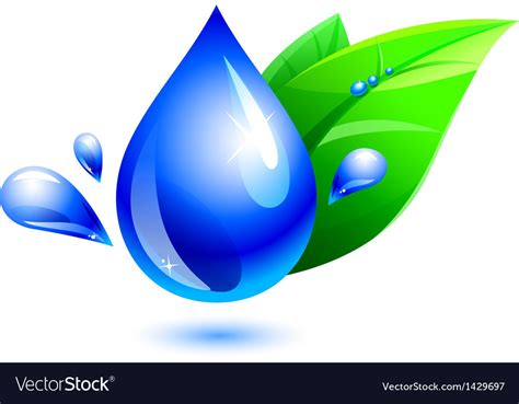 Water Drop And Leaf Royalty Free Vector Image Vectorstock