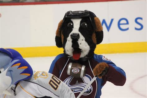 Bernie The Colorado Avalanches Mascot According To The C Flickr