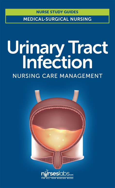 Urinary Tract Infection Nursing Care And Management College Nursing Nursing Babe Tips