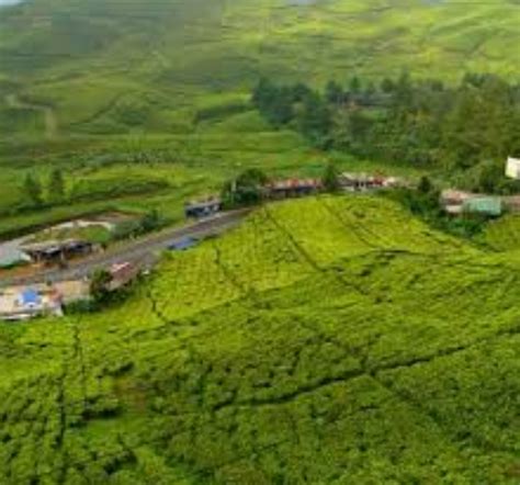 Tempat Wisata Di Puncak Bogor Dan Sekitarnya Untuk Dikunjungi