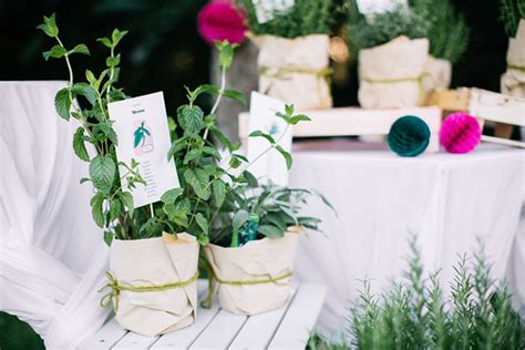 Questa è la pagina 23. Matrimonio a tema cucina al profumo di erbe aromatiche