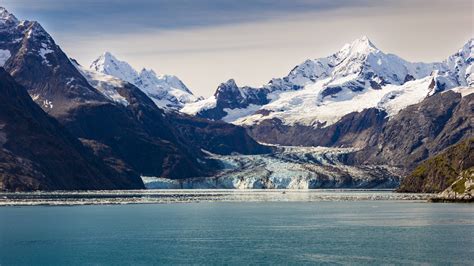 Johns Hopkins Glacier Glacier Bay Ak 4k Wallpaper