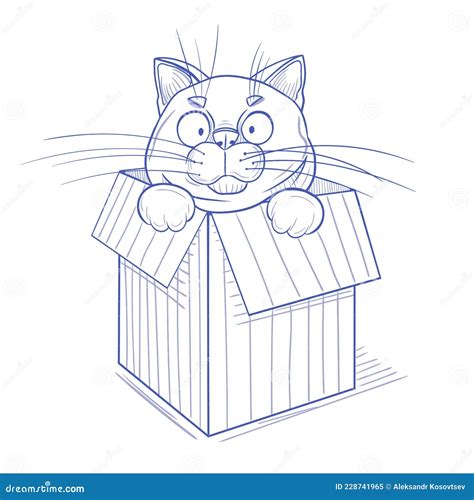 Cat Sitting In A Box Stock Vector Illustration Of Background 228741965