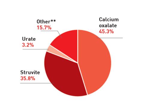 Managing Uroliths In Dogs Veterinary Practice