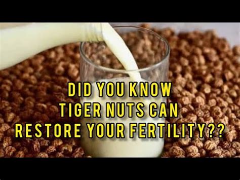 Health Benefits Of Tiger Nuts Youtube