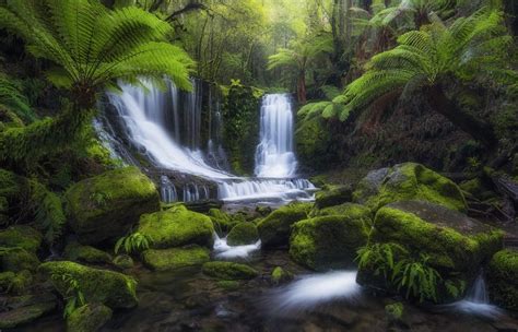 Tropical Forest Waterfall Hd Wallpaper Background Image 2048x1315