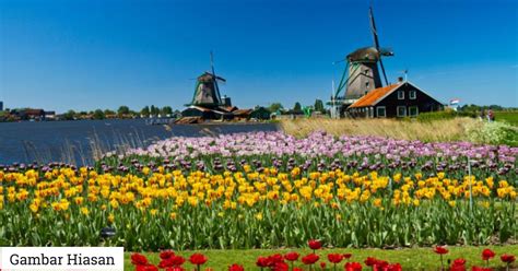 If you want to learn belanda in english, you will find the translation here, along with other translations from indonesian to english. Belanda Tarik Balik 600,000 Topeng Muka Diimport Dari China