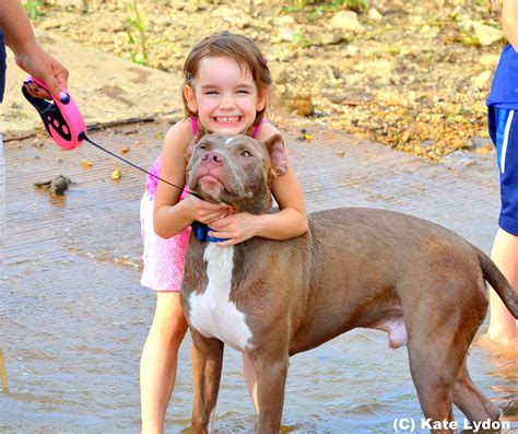 Pin On Pits With Kids