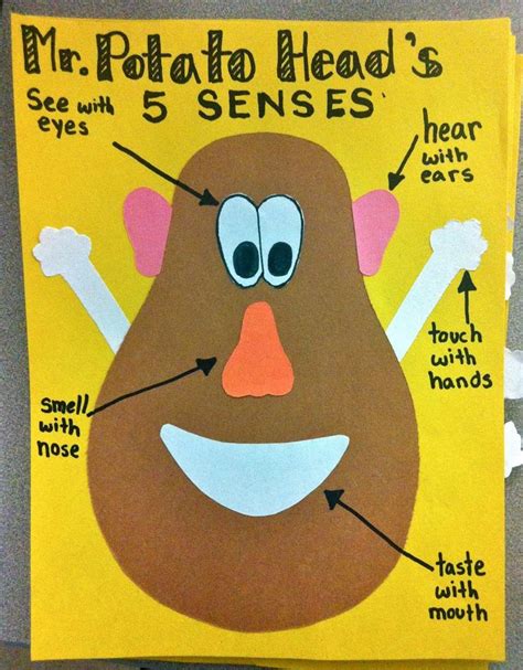 Mr Potato Head 5 Senses Printable