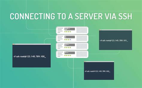 How To Connect To A Server Via Ssh Kinsta Hosting Hot Sex Picture