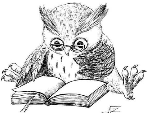 Pin By Mary Smith On Drawings Owls Drawing Owl Owl Art
