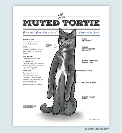 Muted Tortie Grey Cat Art Dilute Tortoiseshell Cat Artwork Etsy