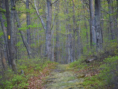 Guided Hike At Steege Hill Nature Preserve Finger Lakes Land Trust