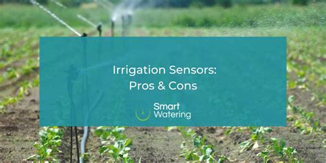 When Should You Use Irrigation Sensors