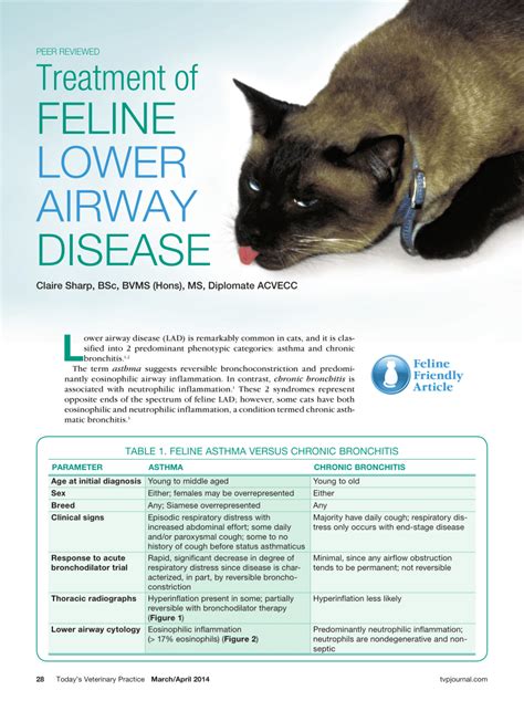Pdf Treatment Of Feline Lower Airway Disease