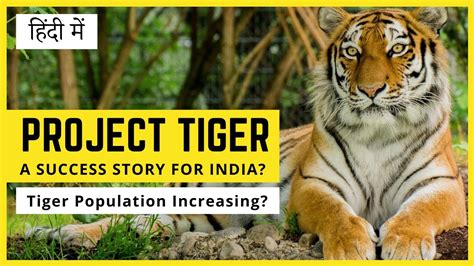 Project Tiger A Success Story For India Youtube